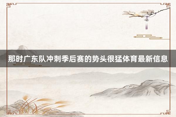 那时广东队冲刺季后赛的势头很猛体育最新信息