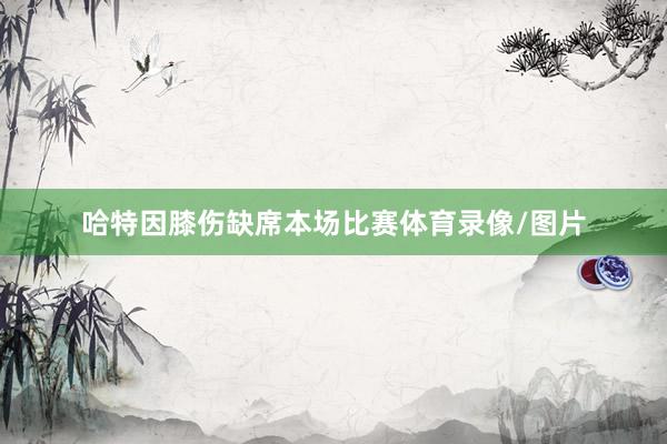哈特因膝伤缺席本场比赛体育录像/图片