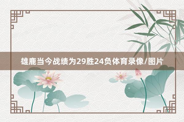 雄鹿当今战绩为29胜24负体育录像/图片