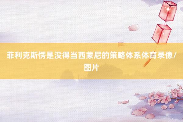 菲利克斯愣是没得当西蒙尼的策略体系体育录像/图片