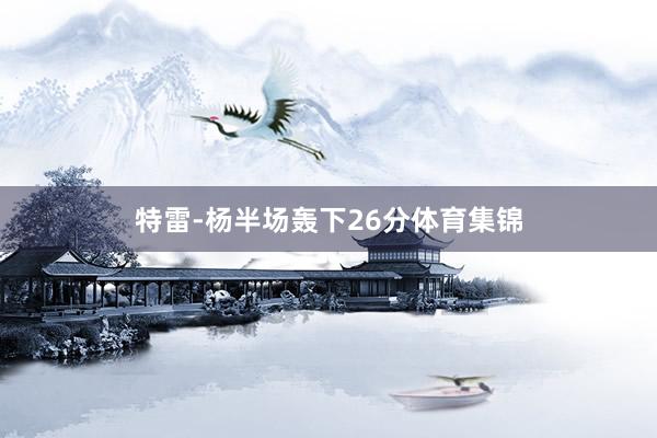 特雷-杨半场轰下26分体育集锦