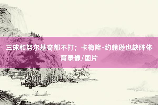 三球和努尔基奇都不打；卡梅隆-约翰逊也缺阵体育录像/图片